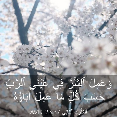 Picture 03 - اَلْمُلُوكِ ٱلثَّانِي 23:37 AVD - وَعَمِلَ ٱلشَّرَّ فِي - Bible Verse Picture