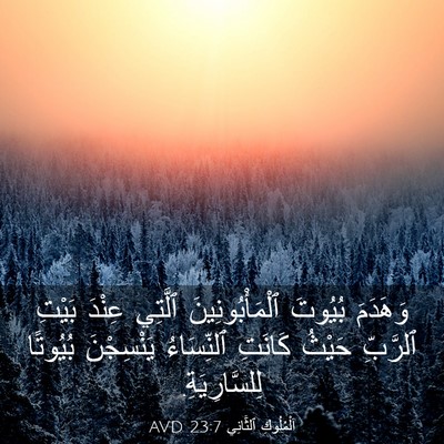 Picture 03 - اَلْمُلُوكِ ٱلثَّانِي 23:7 AVD - وَهَدَمَ بُيُوتَ - Bible Verse Picture