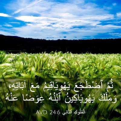 Picture 03 - اَلْمُلُوكِ ٱلثَّانِي 24:6 AVD - ثُمَّ ٱضْطَجَعَ - Bible Verse Picture