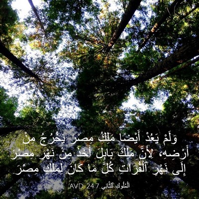 Picture 03 - اَلْمُلُوكِ ٱلثَّانِي 24:7 AVD - وَلَمْ يَعُدْ أَيْضًا - Bible Verse Picture