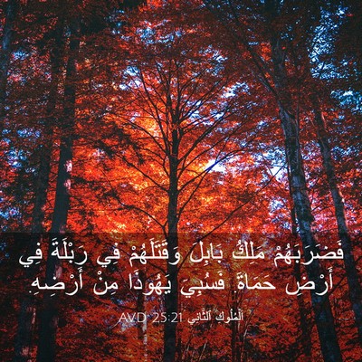 Picture 03 - اَلْمُلُوكِ ٱلثَّانِي 25:21 AVD - فَضَرَبَهُمْ مَلِكُ - Bible Verse Picture
