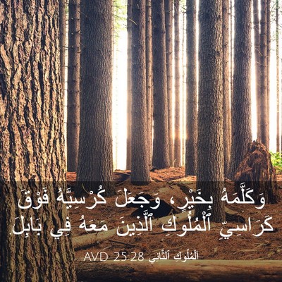 Picture 03 - اَلْمُلُوكِ ٱلثَّانِي 25:28 AVD - وَكَلَّمَهُ بِخَيْرٍ، - Bible Verse Picture