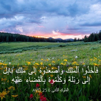 Picture 03 - اَلْمُلُوكِ ٱلثَّانِي 25:6 AVD - فَأَخَذُوا ٱلْمَلِكَ - Bible Verse Picture