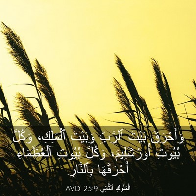 Picture 03 - اَلْمُلُوكِ ٱلثَّانِي 25:9 AVD - وَأَحْرَقَ بَيْتَ - Bible Verse Picture