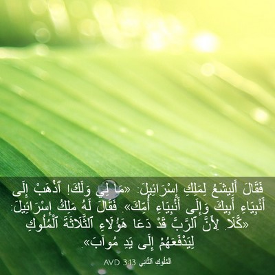 Picture 03 - اَلْمُلُوكِ ٱلثَّانِي 3:13 AVD - فَقَالَ أَلِيشَعُ - Bible Verse Picture