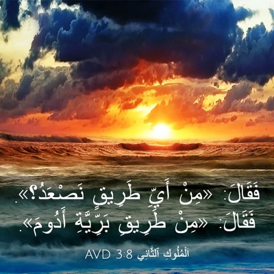Picture 03 - اَلْمُلُوكِ ٱلثَّانِي 3:8 AVD - فَقَالَ: «مِنْ أَيِّ - Bible Verse Picture