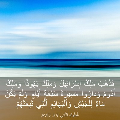 Picture 03 - اَلْمُلُوكِ ٱلثَّانِي 3:9 AVD - فَذَهَبَ مَلِكُ - Bible Verse Picture