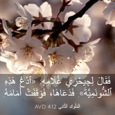 Picture 03 - اَلْمُلُوكِ ٱلثَّانِي 4:12 AVD - فَقَالَ لِجِيحْزِي - Bible Verse Picture