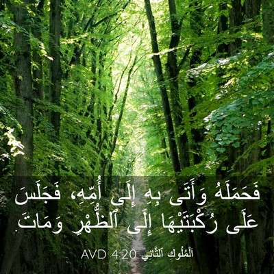 Picture 03 - اَلْمُلُوكِ ٱلثَّانِي 4:20 AVD - فَحَمَلَهُ وَأَتَى بِهِ - Bible Verse Picture
