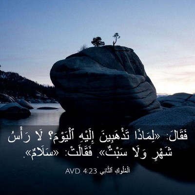 Picture 03 - اَلْمُلُوكِ ٱلثَّانِي 4:23 AVD - فَقَالَ: «لِمَاذَا - Bible Verse Picture