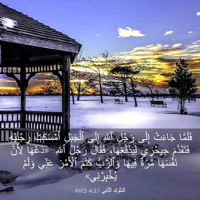 Picture 03 - اَلْمُلُوكِ ٱلثَّانِي 4:27 AVD - فَلَمَّا جَاءَتْ إِلَى - Bible Verse Picture