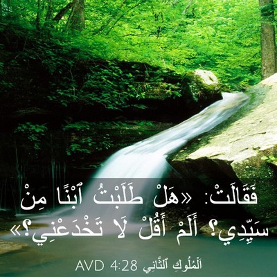 Picture 03 - اَلْمُلُوكِ ٱلثَّانِي 4:28 AVD - فَقَالَتْ: «هَلْ طَلَبْتُ - Bible Verse Picture