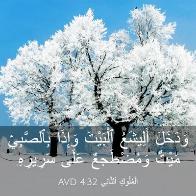 Picture 03 - اَلْمُلُوكِ ٱلثَّانِي 4:32 AVD - وَدَخَلَ أَلِيشَعُ - Bible Verse Picture