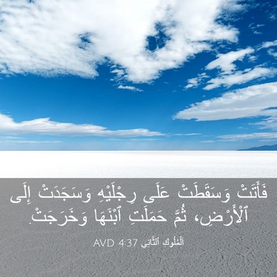 Picture 03 - اَلْمُلُوكِ ٱلثَّانِي 4:37 AVD - فَأَتَتْ وَسَقَطَتْ عَلَى - Bible Verse Picture