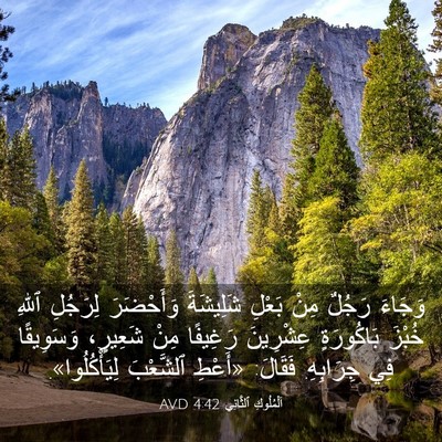 Picture 03 - اَلْمُلُوكِ ٱلثَّانِي 4:42 AVD - وَجَاءَ رَجُلٌ مِنْ بَعْلِ - Bible Verse Picture