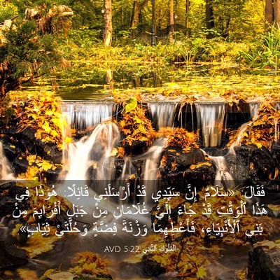 Picture 03 - اَلْمُلُوكِ ٱلثَّانِي 5:22 AVD - فَقَالَ: «سَلَامٌ. إِنَّ - Bible Verse Picture