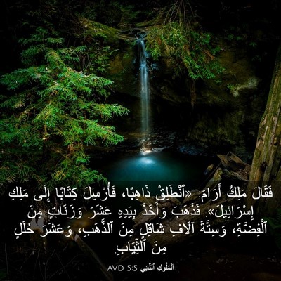 Picture 03 - اَلْمُلُوكِ ٱلثَّانِي 5:5 AVD - فَقَالَ مَلِكُ أَرَامَ: - Bible Verse Picture