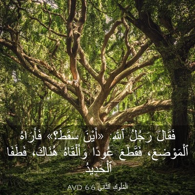 Picture 03 - اَلْمُلُوكِ ٱلثَّانِي 6:6 AVD - فَقَالَ رَجُلُ ٱللهِ: - Bible Verse Picture