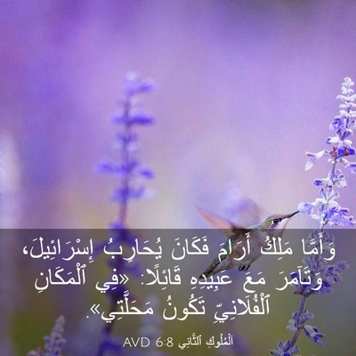 Picture 03 - اَلْمُلُوكِ ٱلثَّانِي 6:8 AVD - وَأَمَّا مَلِكُ أَرَامَ - Bible Verse Picture