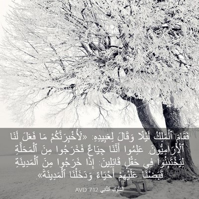 Picture 03 - اَلْمُلُوكِ ٱلثَّانِي 7:12 AVD - فَقَامَ ٱلْمَلِكُ لَيْلًا - Bible Verse Picture