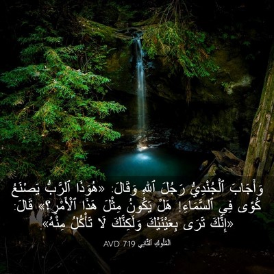 Picture 03 - اَلْمُلُوكِ ٱلثَّانِي 7:19 AVD - وَأَجَابَ ٱلْجُنْدِيُّ - Bible Verse Picture