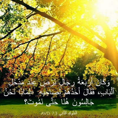 Picture 03 - اَلْمُلُوكِ ٱلثَّانِي 7:3 AVD - وَكَانَ أَرْبَعَةُ - Bible Verse Picture