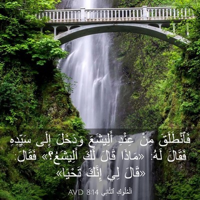 Picture 03 - اَلْمُلُوكِ ٱلثَّانِي 8:14 AVD - فَٱنْطَلَقَ مِنْ عِنْدِ - Bible Verse Picture