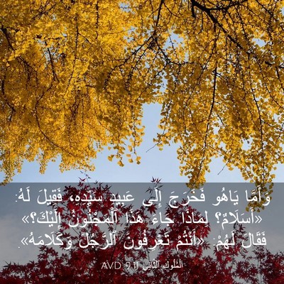 Picture 03 - اَلْمُلُوكِ ٱلثَّانِي 9:11 AVD - وَأَمَّا يَاهُو فَخَرَجَ - Bible Verse Picture