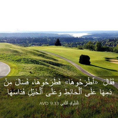 Picture 03 - اَلْمُلُوكِ ٱلثَّانِي 9:33 AVD - فَقَالَ: «ٱطْرَحُوهَا». - Bible Verse Picture