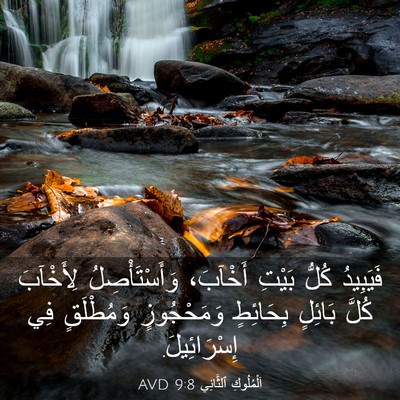 Picture 03 - اَلْمُلُوكِ ٱلثَّانِي 9:8 AVD - فَيَبِيدُ كُلُّ بَيْتِ - Bible Verse Picture