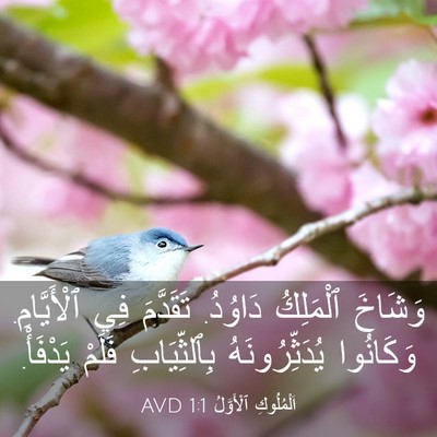 Picture 03 - اَلْمُلُوكِ ٱلْأَوَّلُ 1:1 AVD - وَشَاخَ ٱلْمَلِكُ دَاوُدُ. - Bible Verse Picture