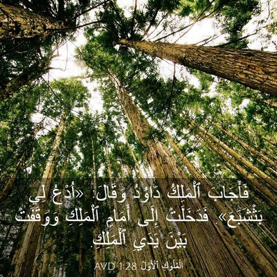 Picture 03 - اَلْمُلُوكِ ٱلْأَوَّلُ 1:28 AVD - فَأَجَابَ ٱلْمَلِكُ - Bible Verse Picture