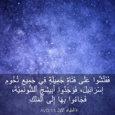 Picture 03 - اَلْمُلُوكِ ٱلْأَوَّلُ 1:3 AVD - فَفَتَّشُوا عَلَى فَتَاةٍ - Bible Verse Picture