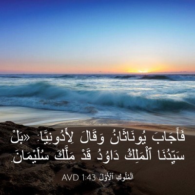 Picture 03 - اَلْمُلُوكِ ٱلْأَوَّلُ 1:43 AVD - فَأَجَابَ يُونَاثَانُ - Bible Verse Picture