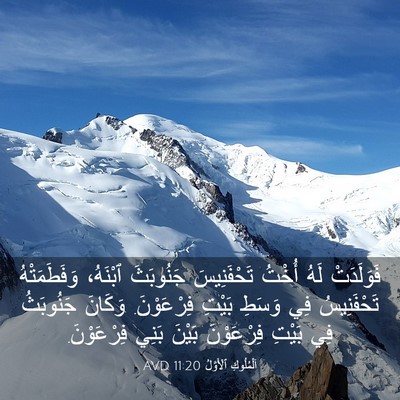 Picture 03 - اَلْمُلُوكِ ٱلْأَوَّلُ 11:20 AVD - فَوَلَدَتْ لَهُ أُخْتُ - Bible Verse Picture