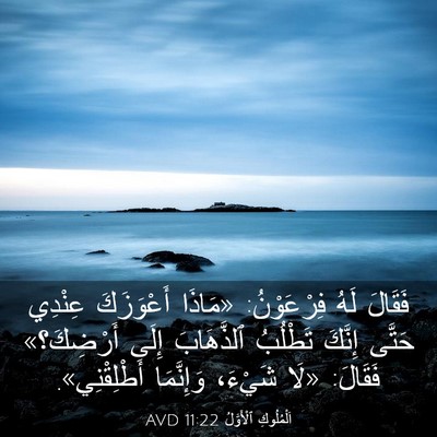 Picture 03 - اَلْمُلُوكِ ٱلْأَوَّلُ 11:22 AVD - فَقَالَ لَهُ فِرْعَوْنُ: - Bible Verse Picture