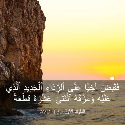 Picture 03 - اَلْمُلُوكِ ٱلْأَوَّلُ 11:30 AVD - فَقَبَضَ أَخِيَّا عَلَى - Bible Verse Picture