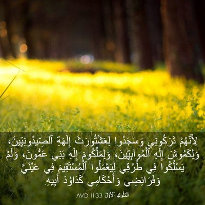 Picture 03 - اَلْمُلُوكِ ٱلْأَوَّلُ 11:33 AVD - لِأَنَّهُمْ تَرَكُونِي - Bible Verse Picture