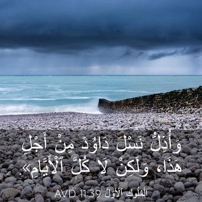 Picture 03 - اَلْمُلُوكِ ٱلْأَوَّلُ 11:39 AVD - وَأُذِلُّ نَسْلَ دَاوُدَ - Bible Verse Picture