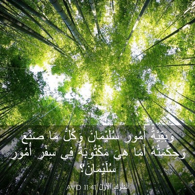 Picture 03 - اَلْمُلُوكِ ٱلْأَوَّلُ 11:41 AVD - وَبَقِيَّةُ أُمُورِ - Bible Verse Picture