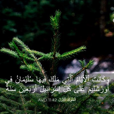 Picture 03 - اَلْمُلُوكِ ٱلْأَوَّلُ 11:42 AVD - وَكَانَتِ ٱلْأَيَّامُ - Bible Verse Picture