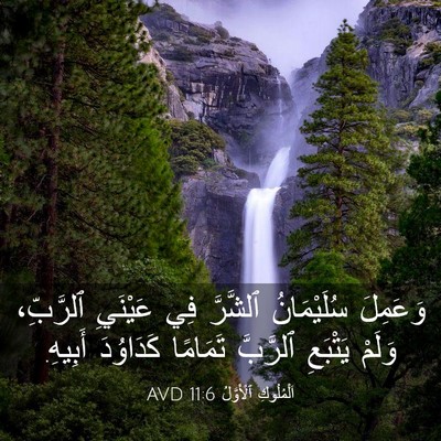 Picture 03 - اَلْمُلُوكِ ٱلْأَوَّلُ 11:6 AVD - وَعَمِلَ سُلَيْمَانُ - Bible Verse Picture