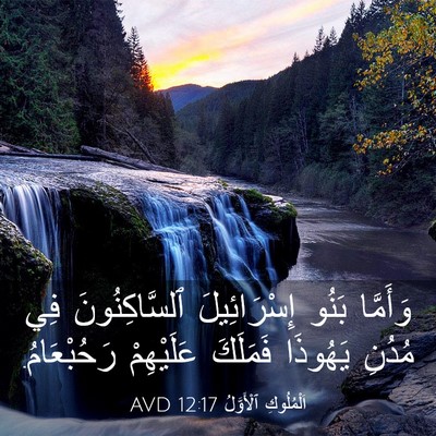 Picture 03 - اَلْمُلُوكِ ٱلْأَوَّلُ 12:17 AVD - وَأَمَّا بَنُو - Bible Verse Picture