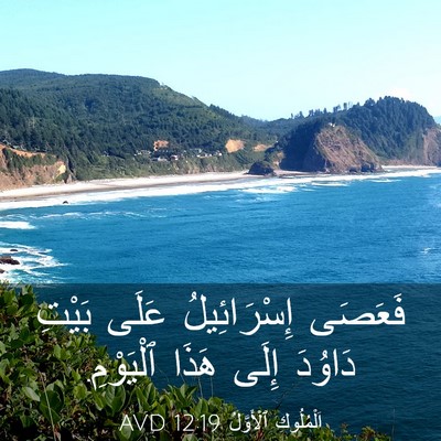 Picture 03 - اَلْمُلُوكِ ٱلْأَوَّلُ 12:19 AVD - فَعَصَى إِسْرَائِيلُ - Bible Verse Picture