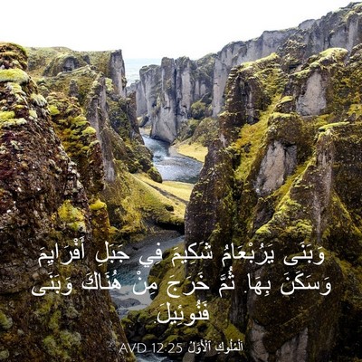 Picture 03 - اَلْمُلُوكِ ٱلْأَوَّلُ 12:25 AVD - وَبَنَى يَرُبْعَامُ - Bible Verse Picture
