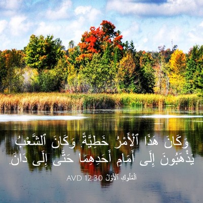 Picture 03 - اَلْمُلُوكِ ٱلْأَوَّلُ 12:30 AVD - وَكَانَ هَذَا ٱلْأَمْرُ - Bible Verse Picture