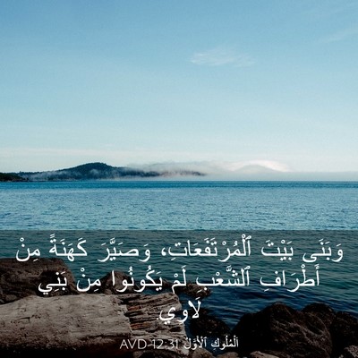Picture 03 - اَلْمُلُوكِ ٱلْأَوَّلُ 12:31 AVD - وَبَنَى بَيْتَ - Bible Verse Picture