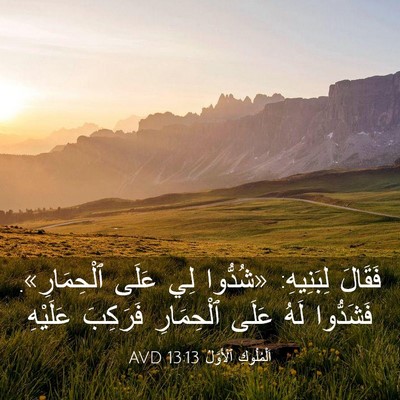 Picture 03 - اَلْمُلُوكِ ٱلْأَوَّلُ 13:13 AVD - فَقَالَ لِبَنِيهِ: - Bible Verse Picture
