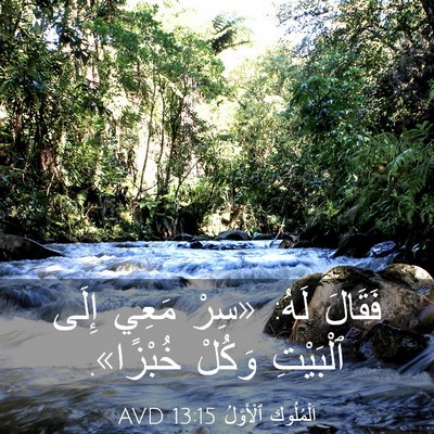 Picture 03 - اَلْمُلُوكِ ٱلْأَوَّلُ 13:15 AVD - فَقَالَ لَهُ: «سِرْ مَعِي - Bible Verse Picture