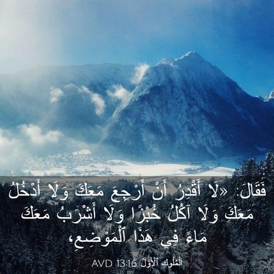 Picture 03 - اَلْمُلُوكِ ٱلْأَوَّلُ 13:16 AVD - فَقَالَ: «لَا أَقْدِرُ - Bible Verse Picture